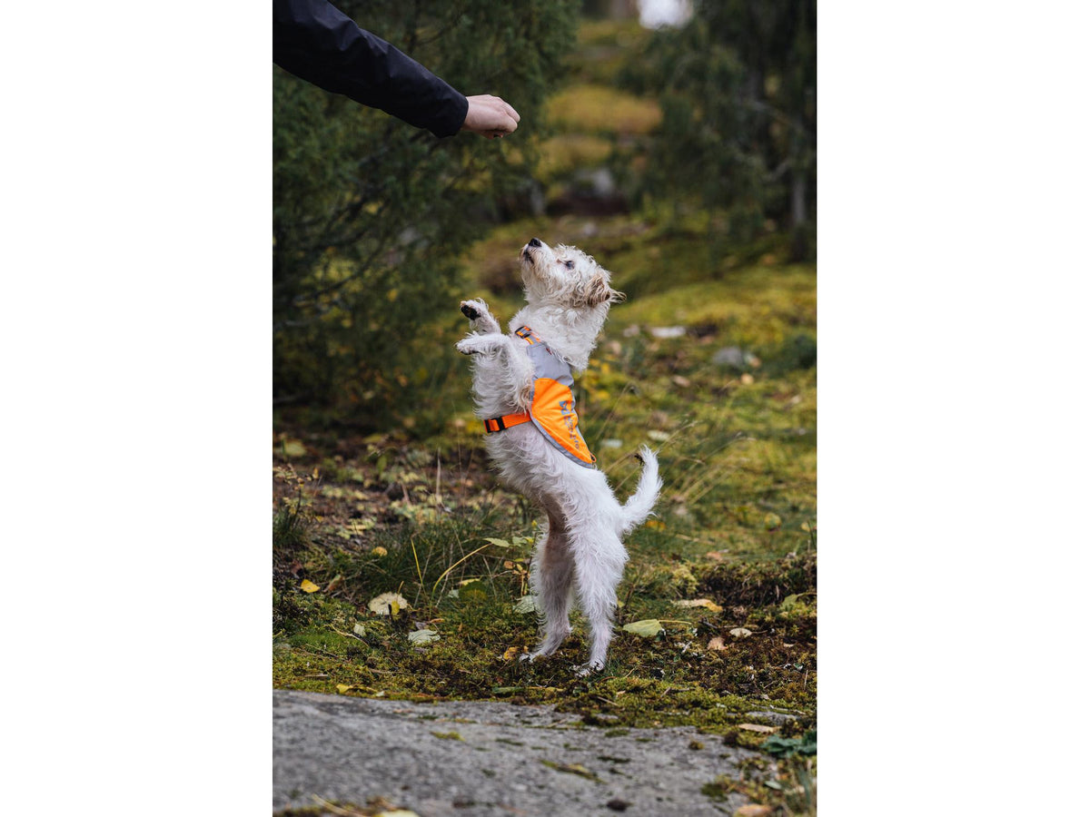 Non-stop dogwear Reflection blanket refleksdekken – Oransje