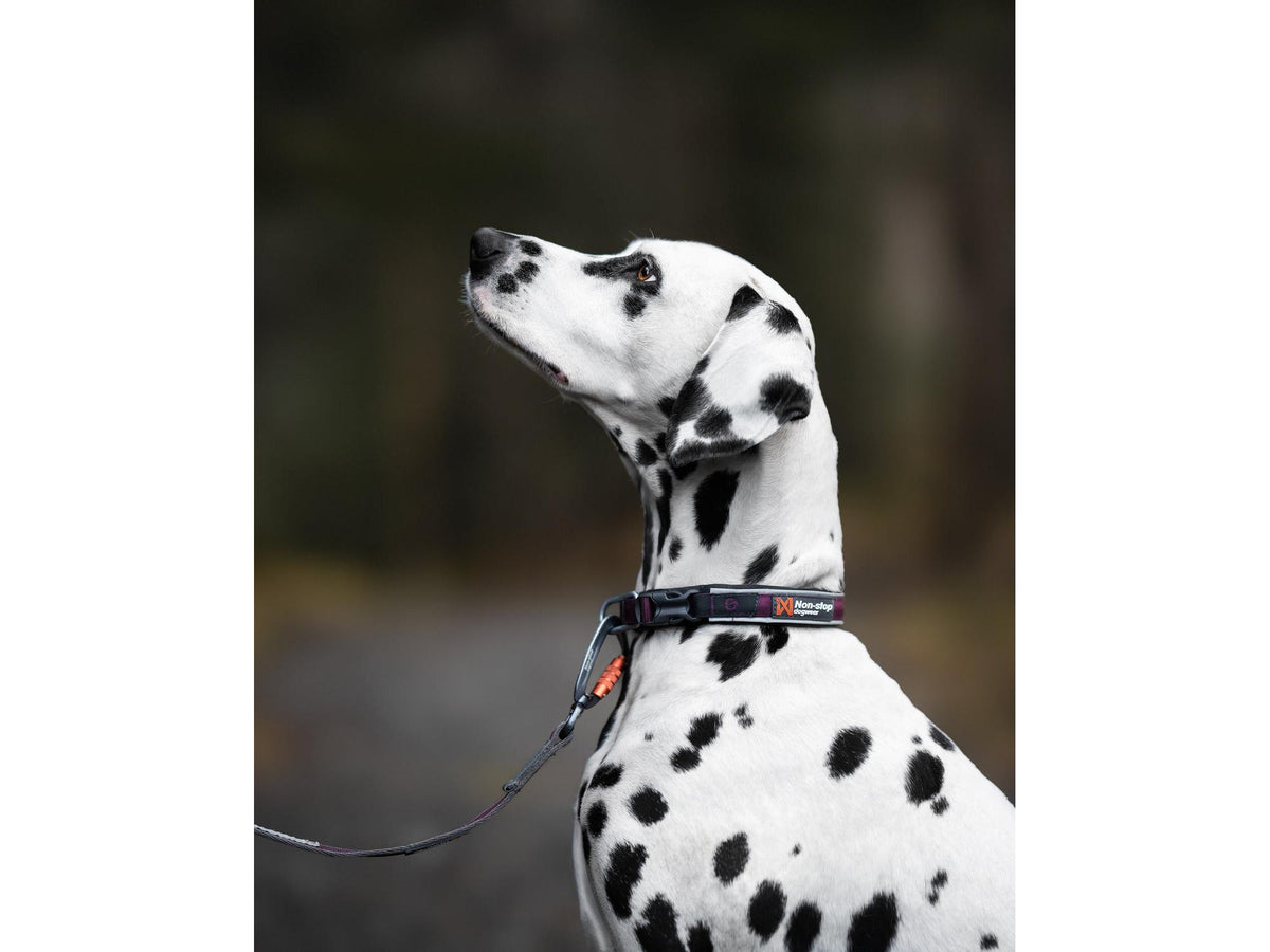 Non-stop dogwear Roam collar halsbånd – Grønn – modellen vist i annen farge