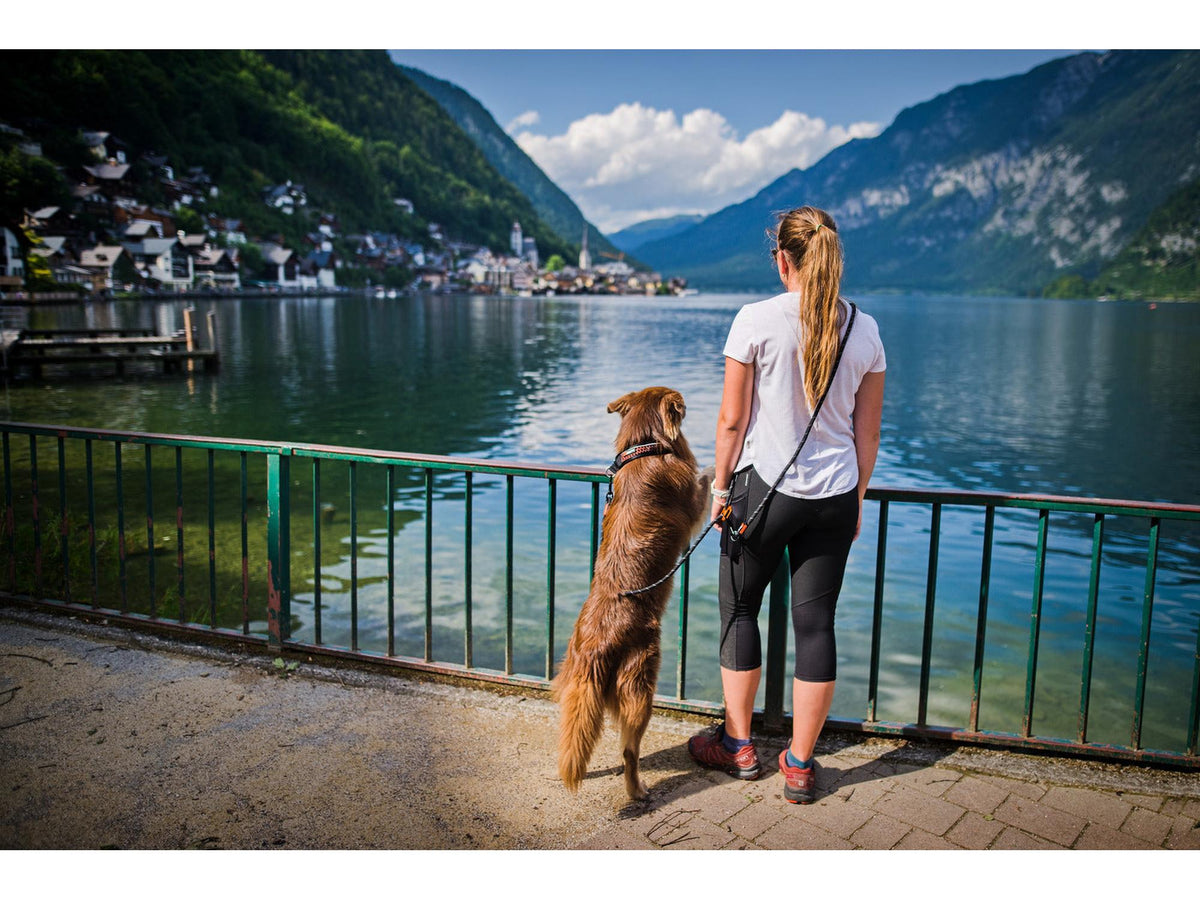 Non-stop dogwear Rock adjustable leash justerbart tau-leiebånd – Svart