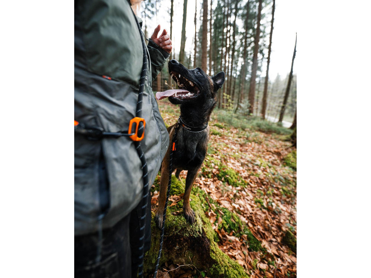 Non-stop dogwear Rock adjustable leash justerbart tau-leiebånd – Svart