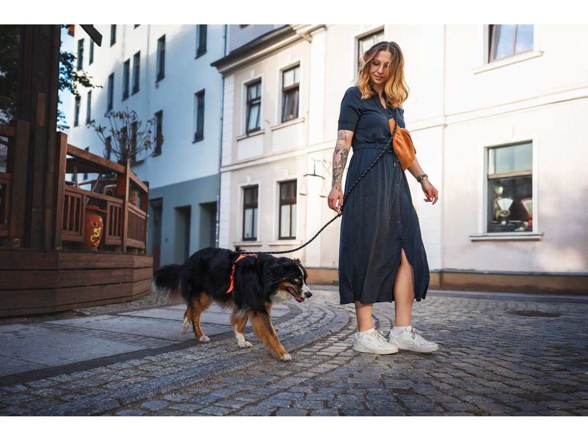 Non-stop dogwear Rock adjustable leash justerbart tau-leiebånd – Svart