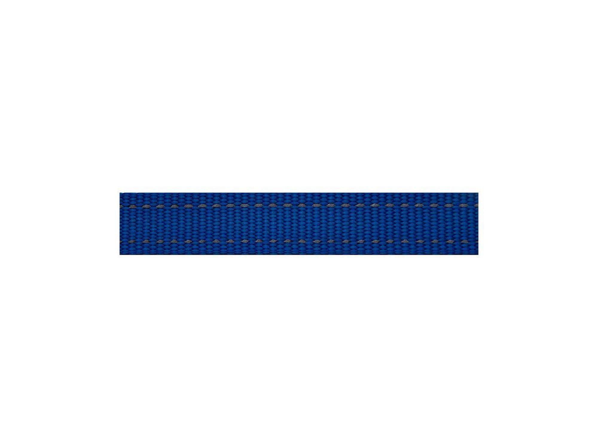 Blått Rogz Utility hundehalsbånd i nylon med reflekterende tråd, 25mm bredt.