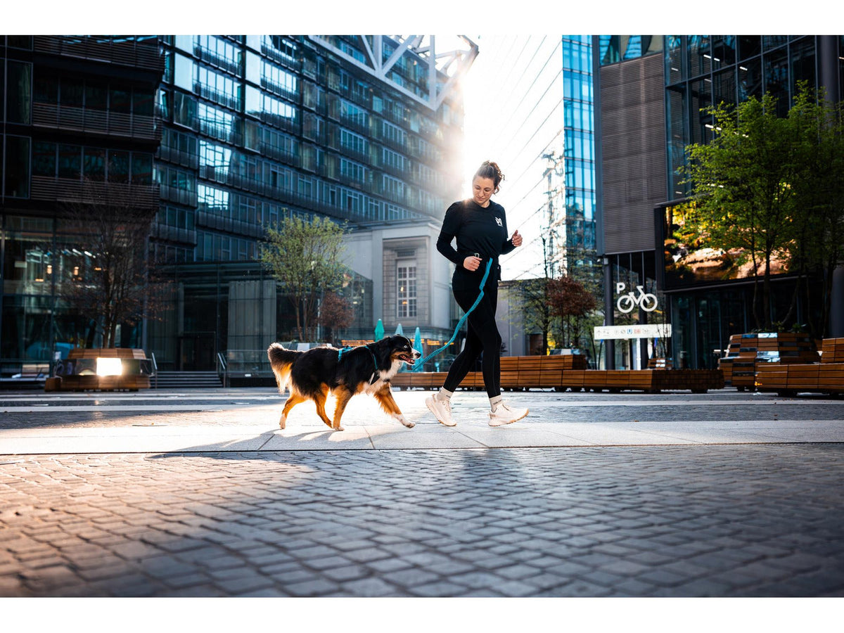 Non-stop dogwear Rush belt løpebelte – Svart/teal