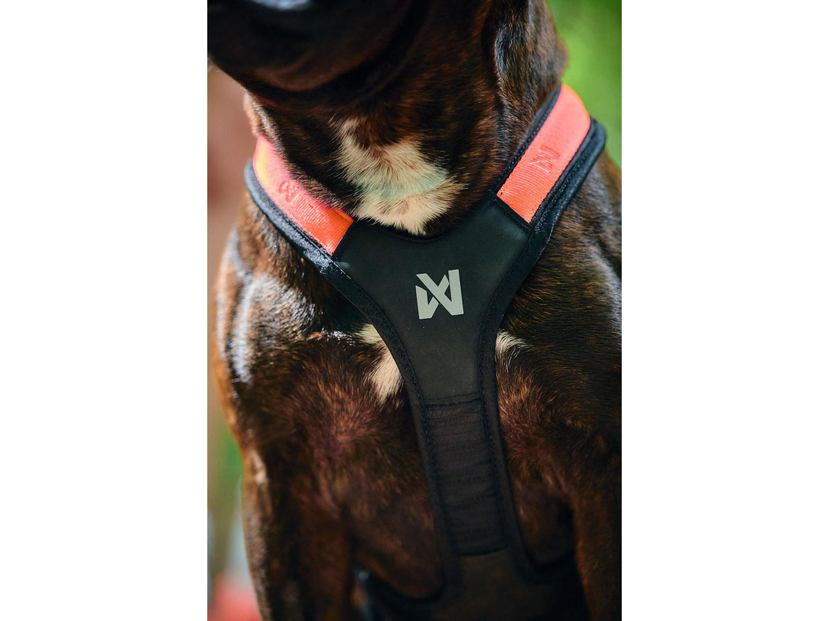 Non-stop dogwear Rush harness trekksele – Svart/oransje