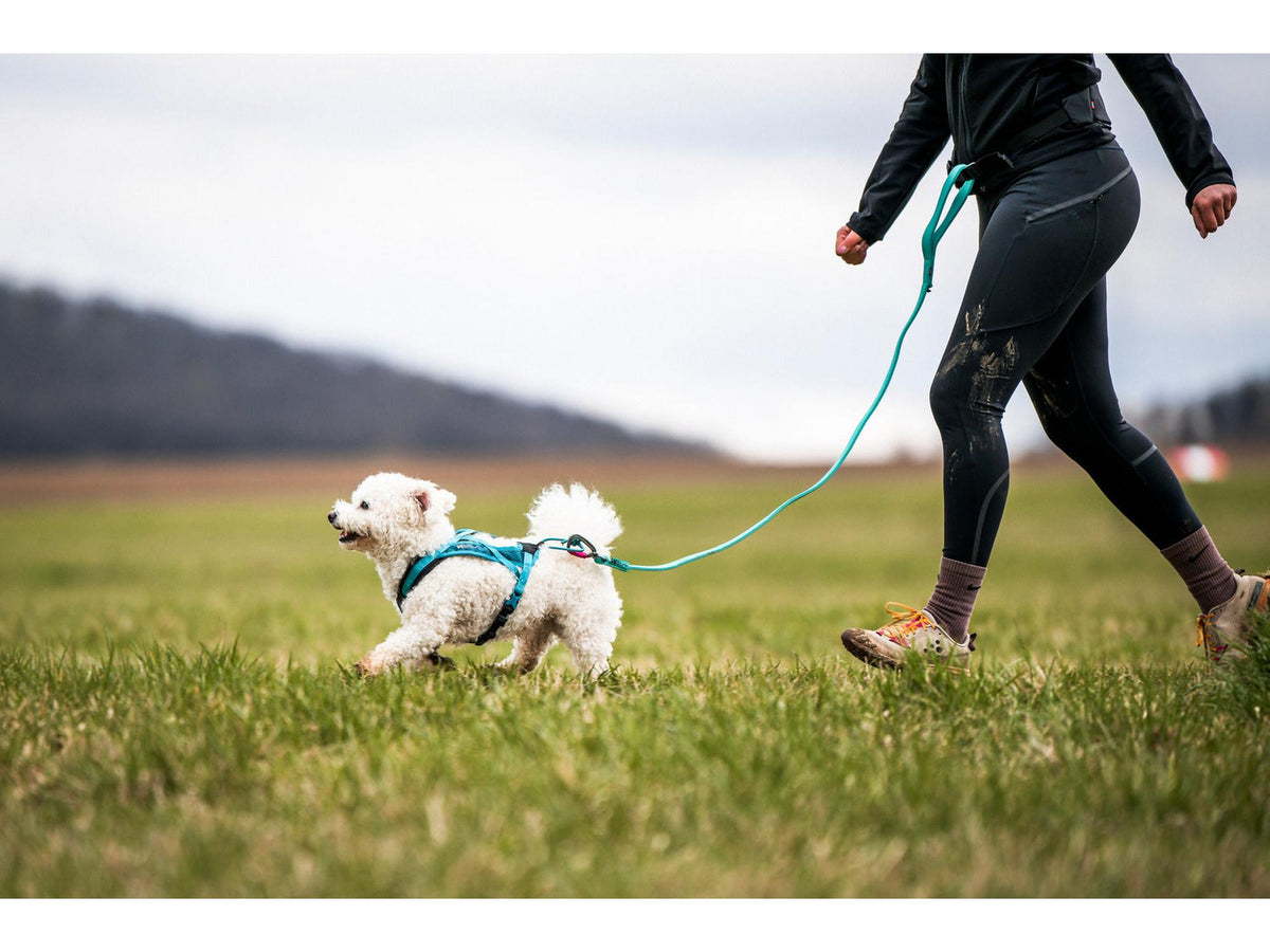 Non-stop dogwear Rush harness trekksele – Teal