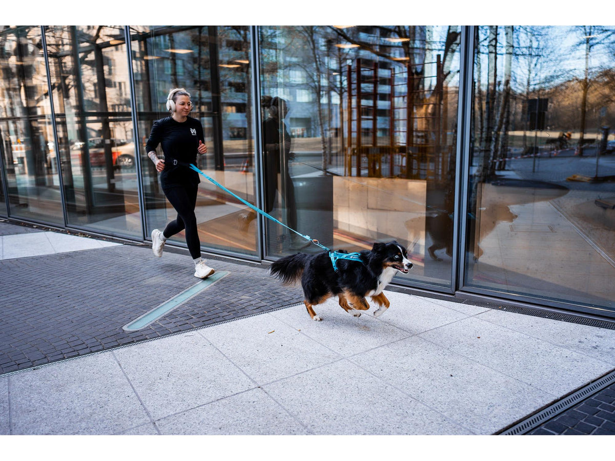Non-stop dogwear Rush harness trekksele – Svart/oransje – modellen vist i annen farge