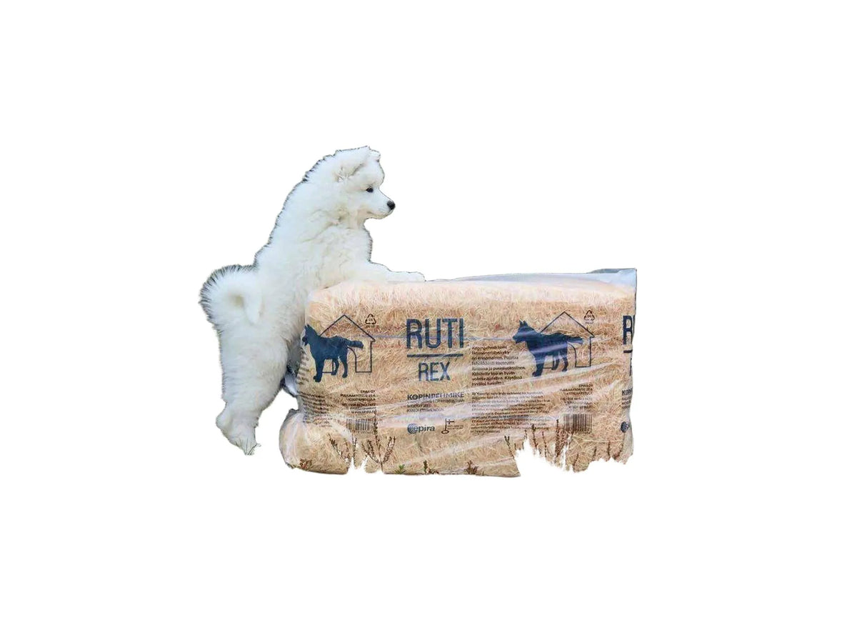 Hvit samojedvalp står på en stor, gjennomsiktig pose med Ruti-Rex trefiberstrø for hundeseng.