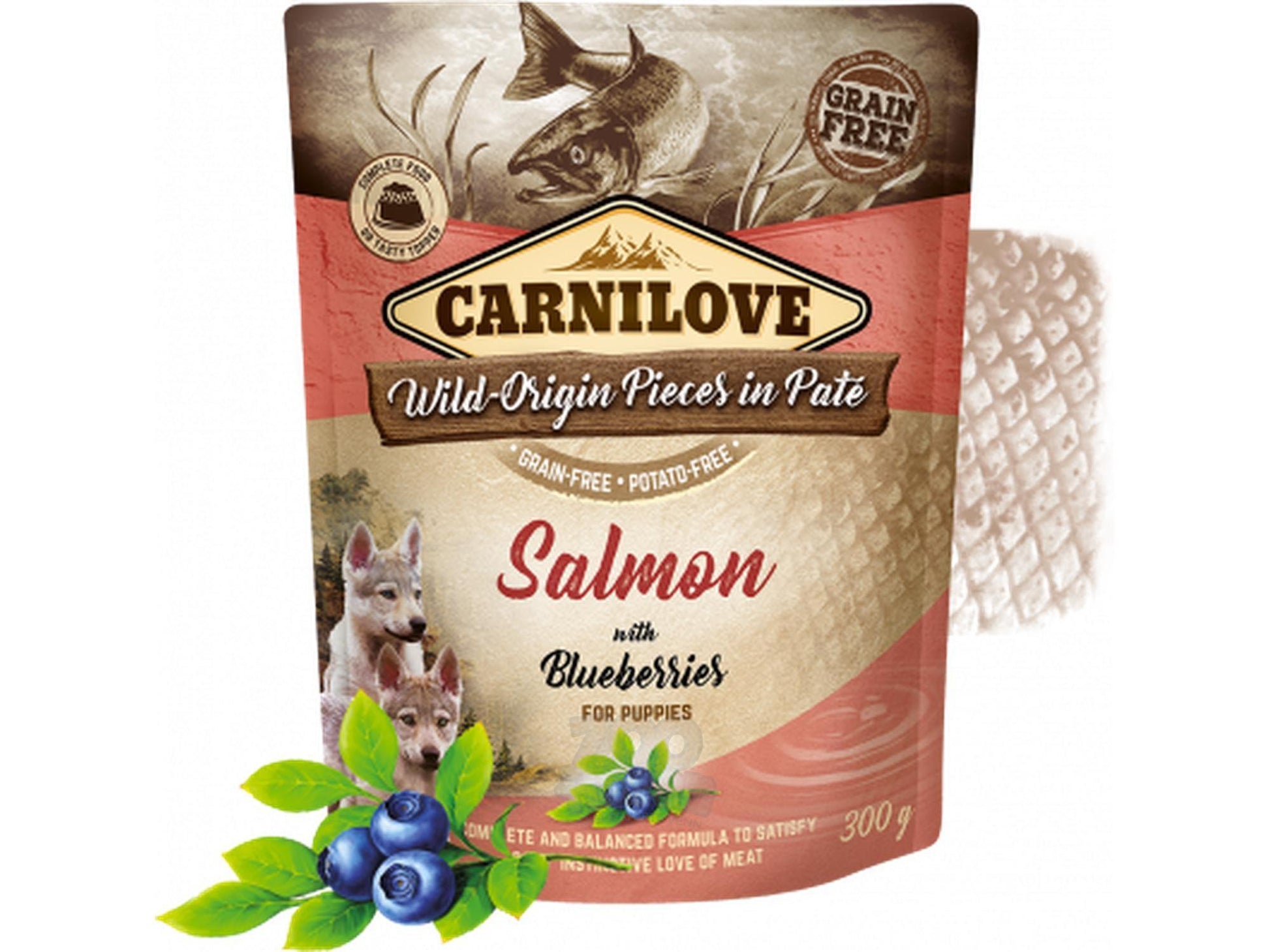 Carnilove Salmon with Blueberries våtfôr til valp med laks og blåbær