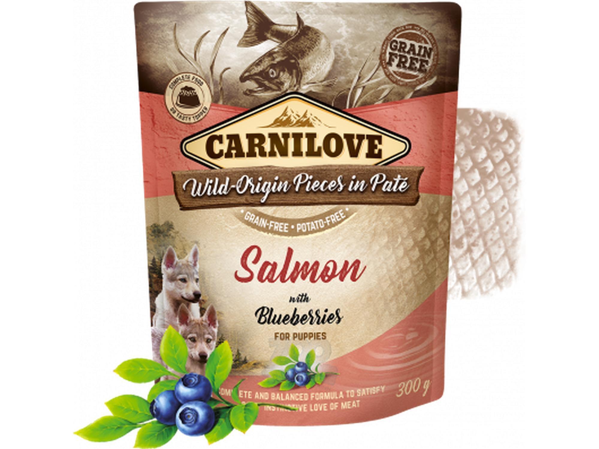 Salmon with Blueberries for puppies 300gr