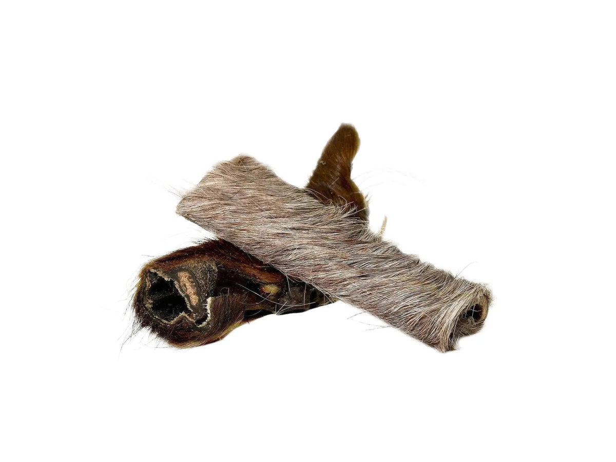 To råhud okse tyggeben med mørkbrun pels, rulles og tørkes, på hvit bakgrunn.