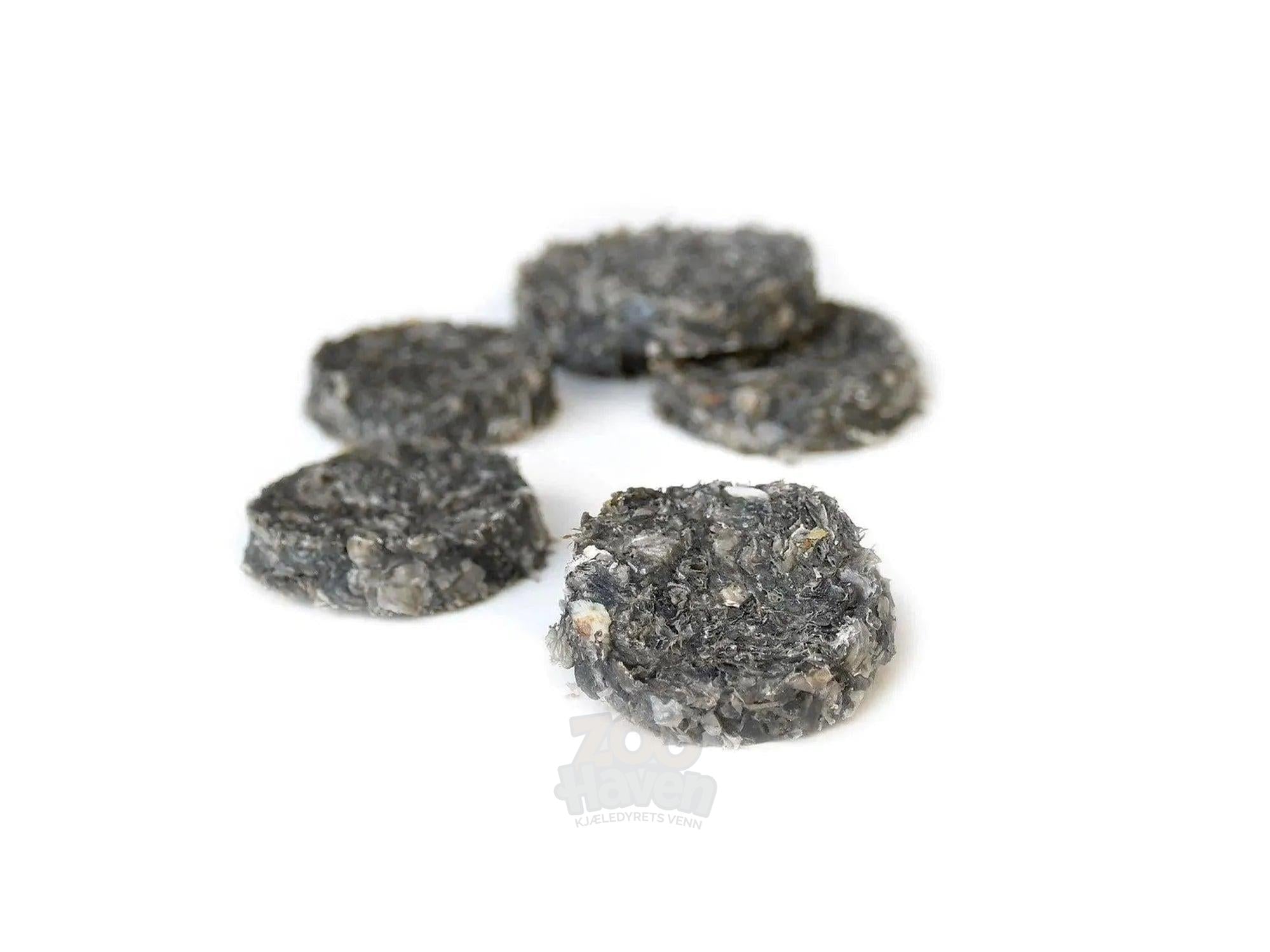 Sana Torskemedaljonger med Blåbær – Naturlig Hundesnacks (100 g / 500 g)