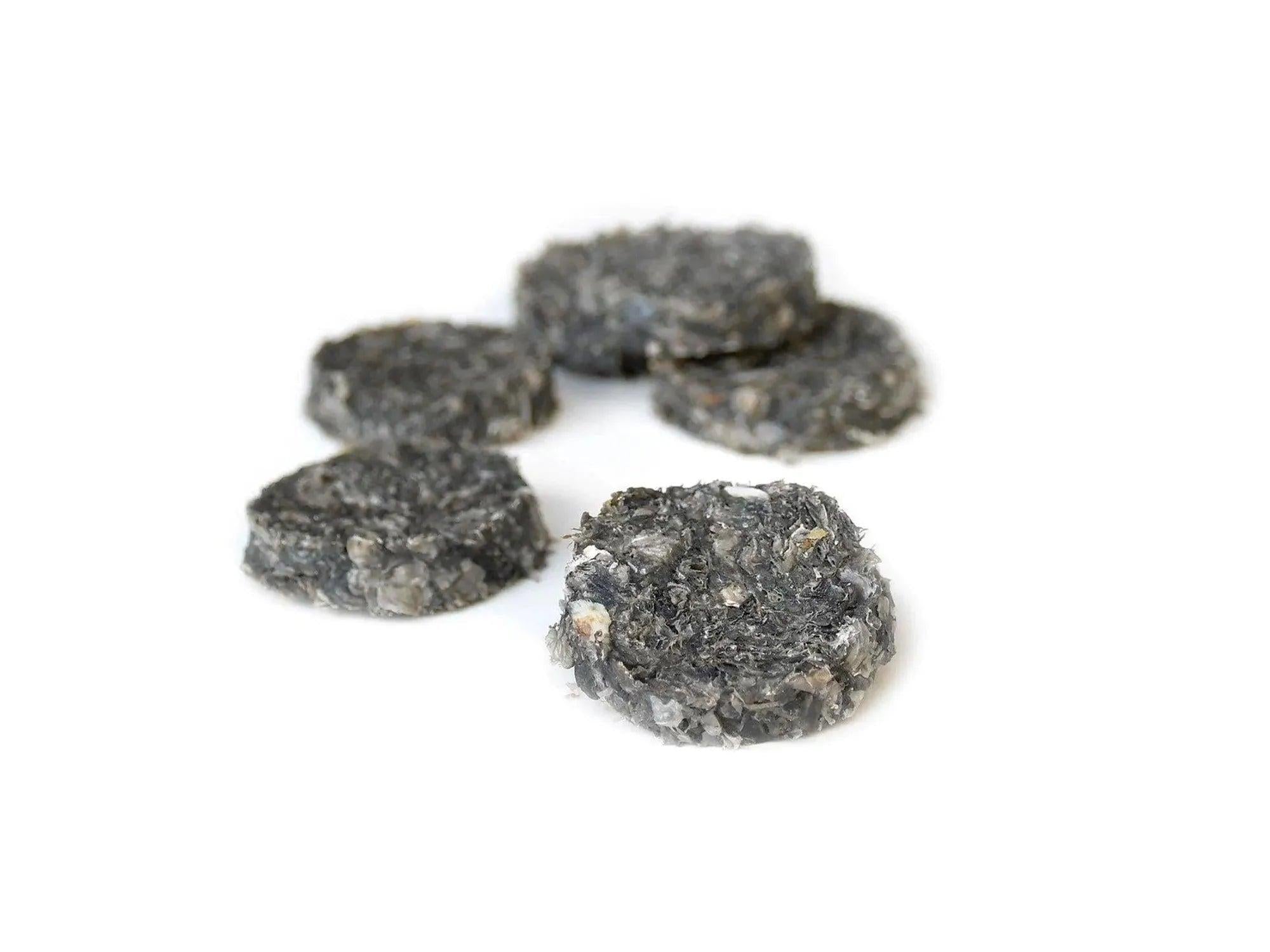 Sana Torskemedaljonger med Blåbær 500 g hundesnacks