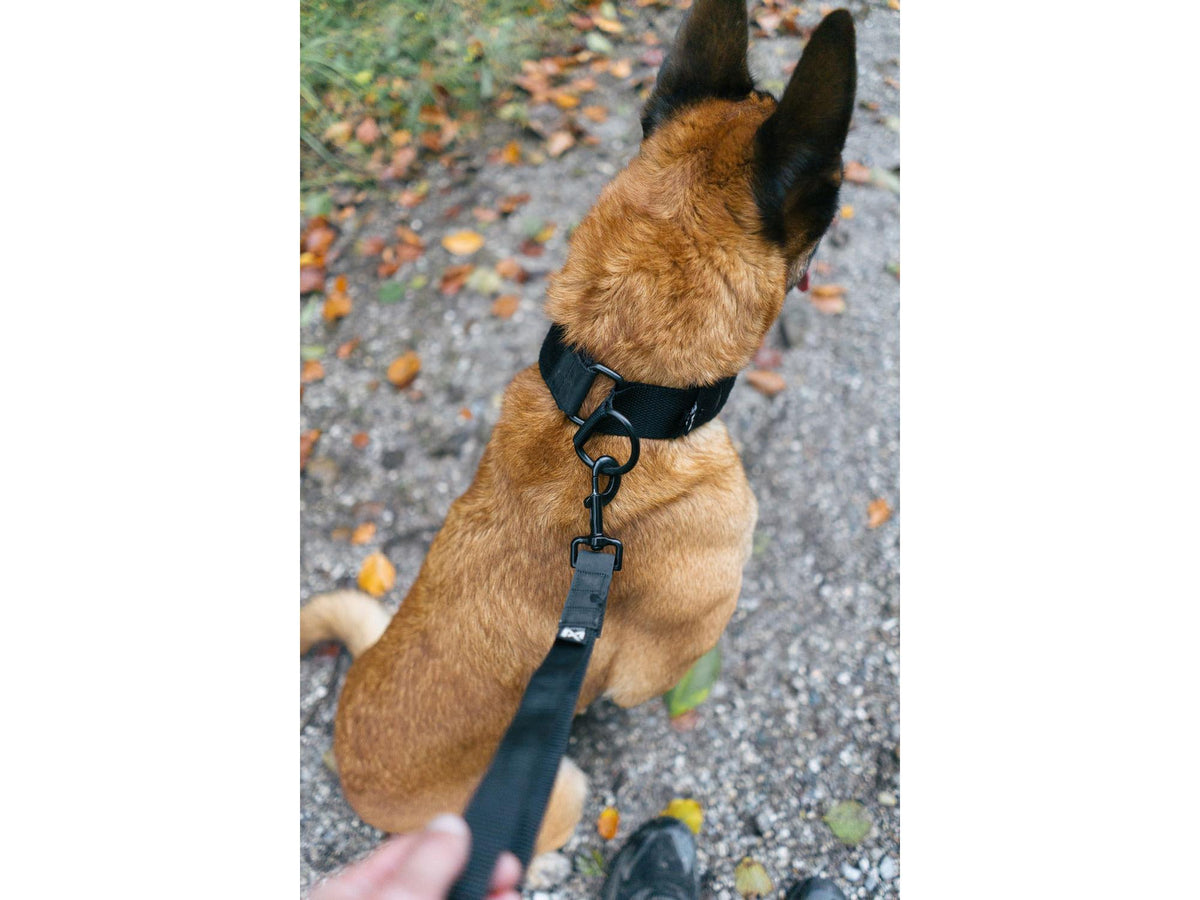 Non-stop dogwear Security strap WD kort håndtak – Svart