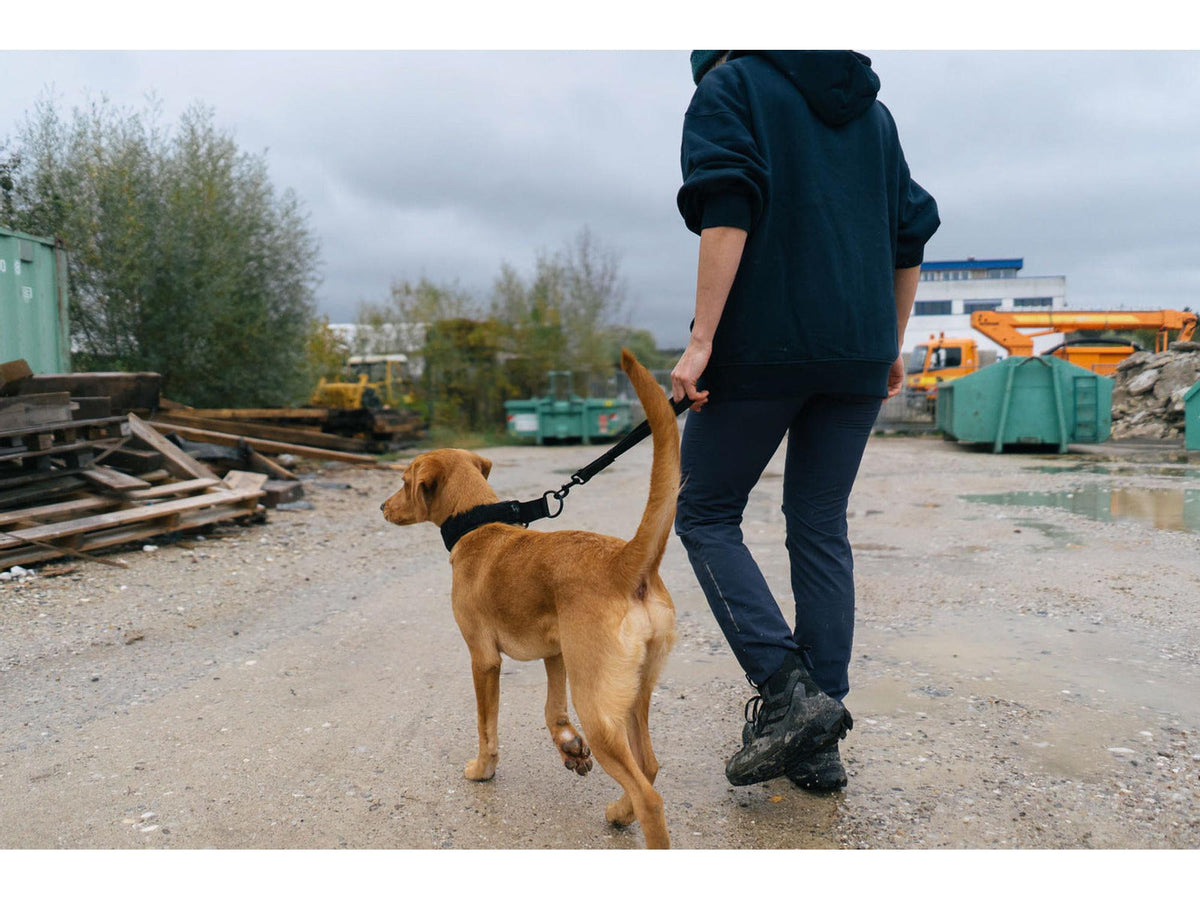 Non-stop dogwear Security strap WD kort håndtak – Svart