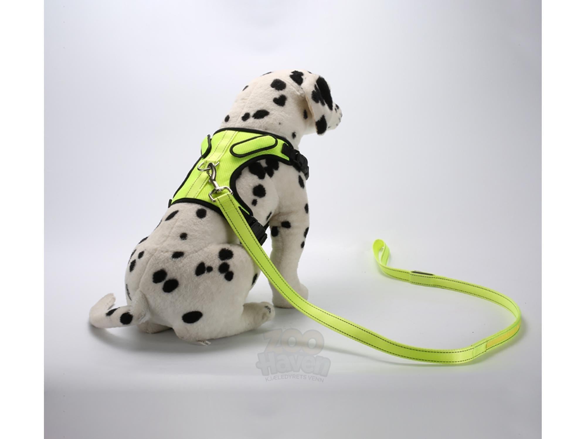 Neongul hundesele i størrelse L med LED-lys og matchende bånd, vist på en dalmatinerdukke.