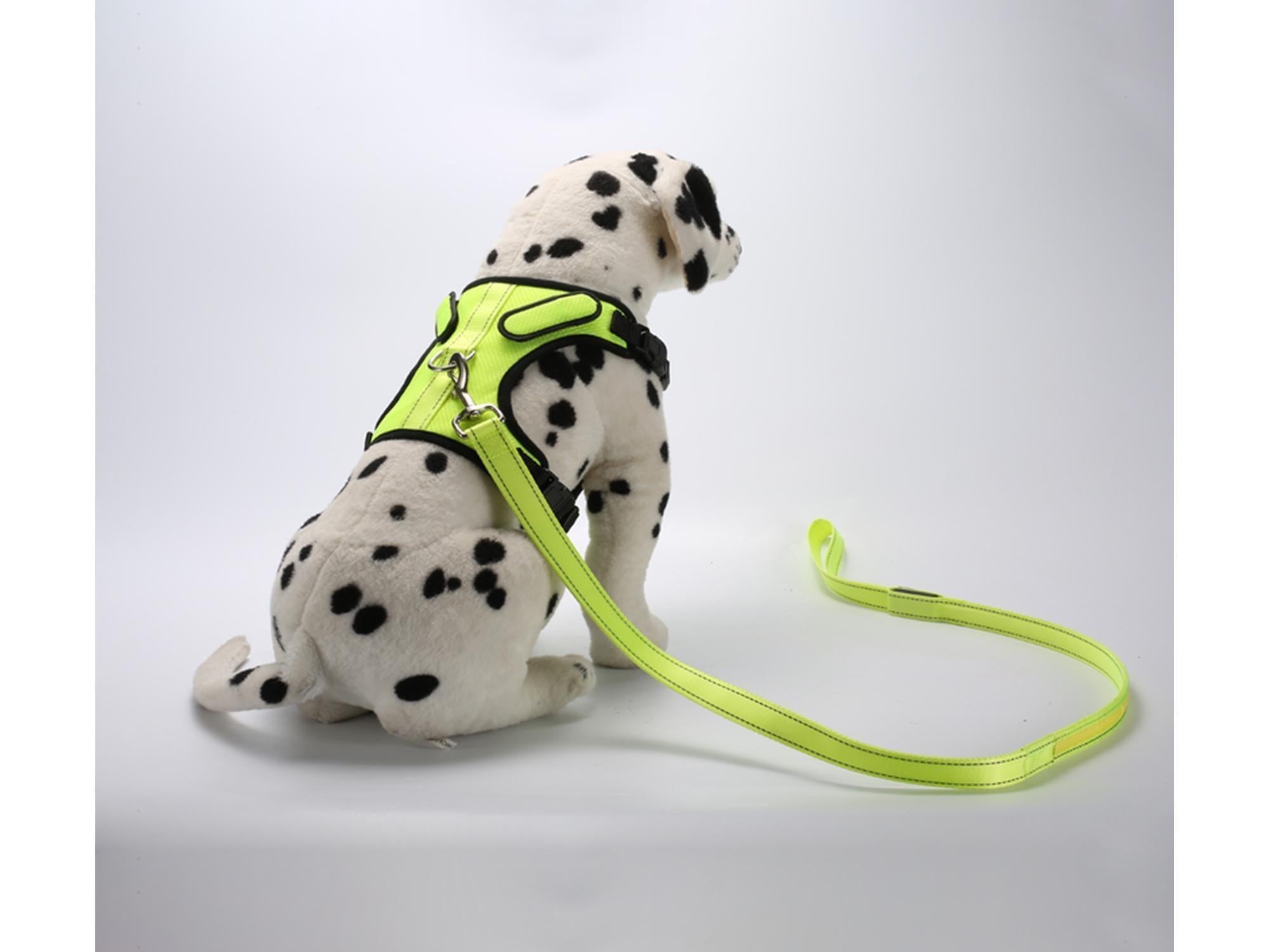 Neongul hundesele med LED-lys og matchende bånd på en dalmatiner-plysjhund.