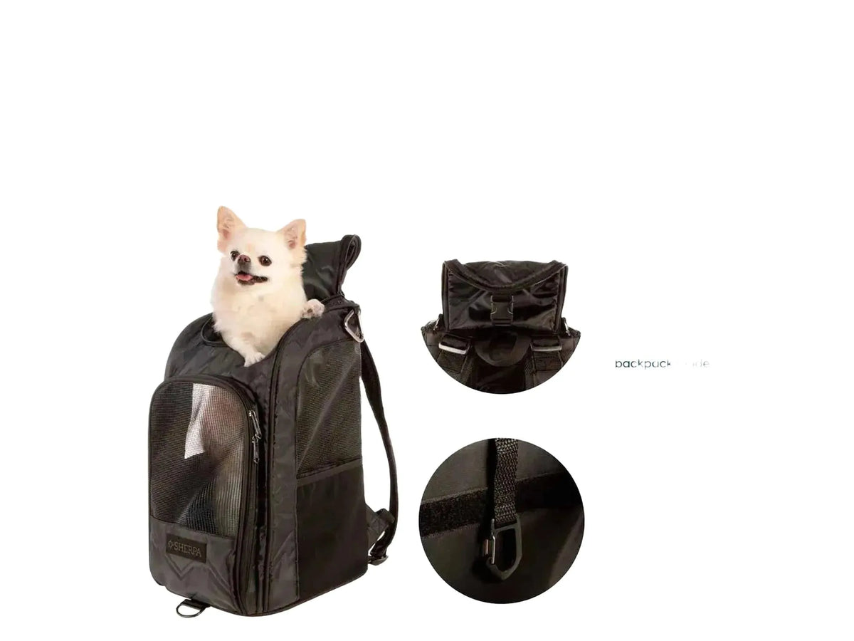 Svart Sherpa Deluxe kjæledyrryggsekk med en liten hvit hund som titter ut av toppåpningen.