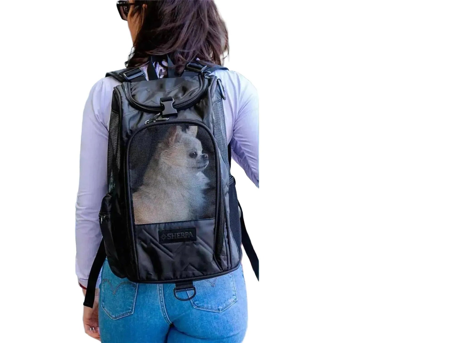 Svart Sherpa Deluxe kjæledyrbærer ryggsekk med en liten hund inni, båret av en kvinne.