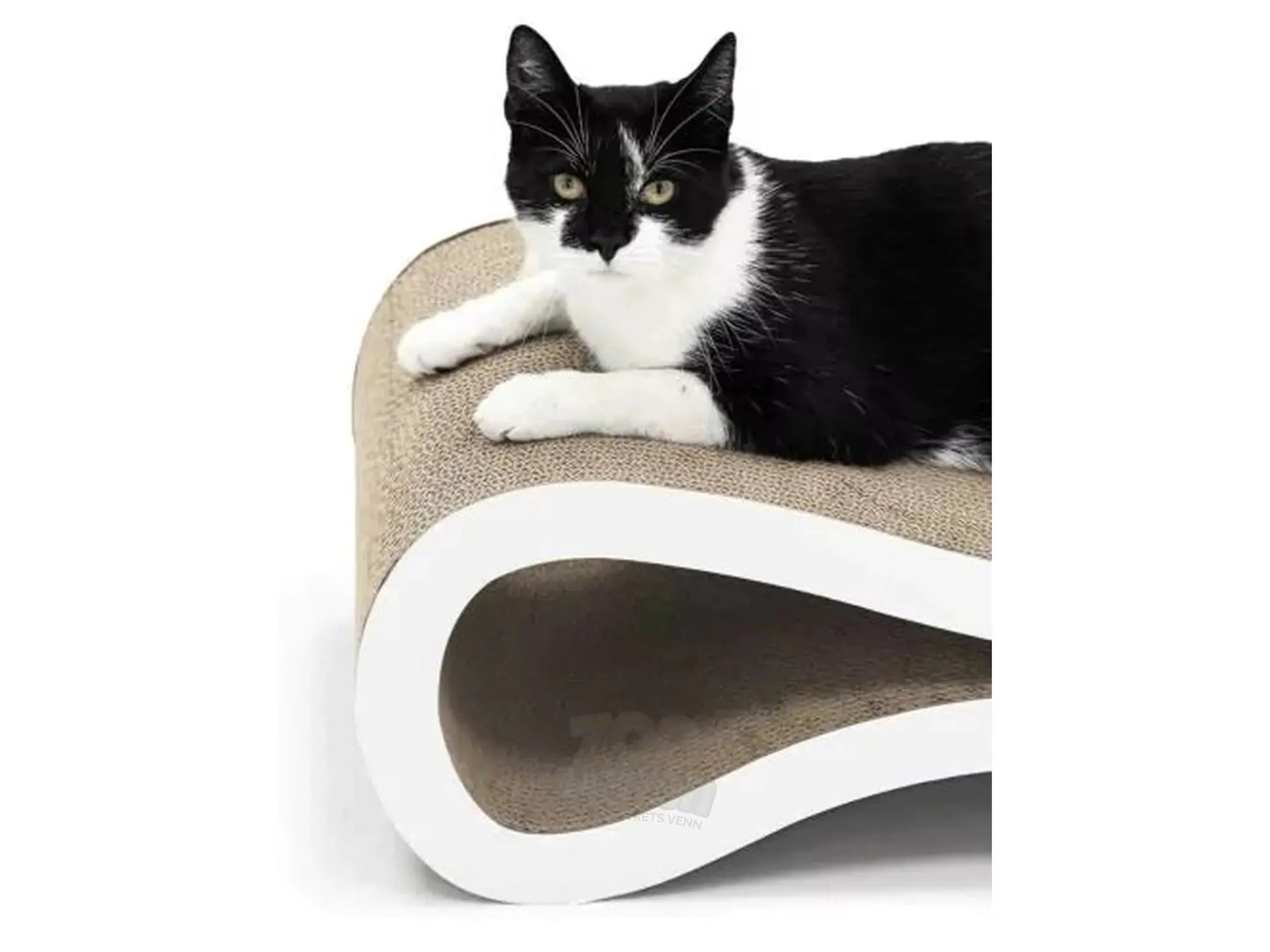 Svart og hvit katt ligger på Simba 75 timeglassformet kloremøbel i resirkulert bølgepapp.