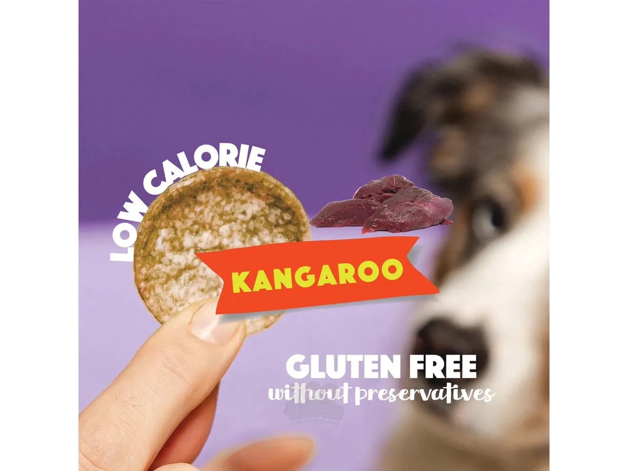 Smoofl Dog Chips Kenguru 50 g – Kaloriefattig hundesnacks