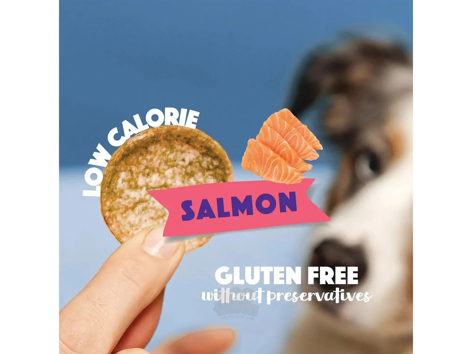 Smoofl Dog Chips Laks 50 g – Kaloriefattig hundesnacks