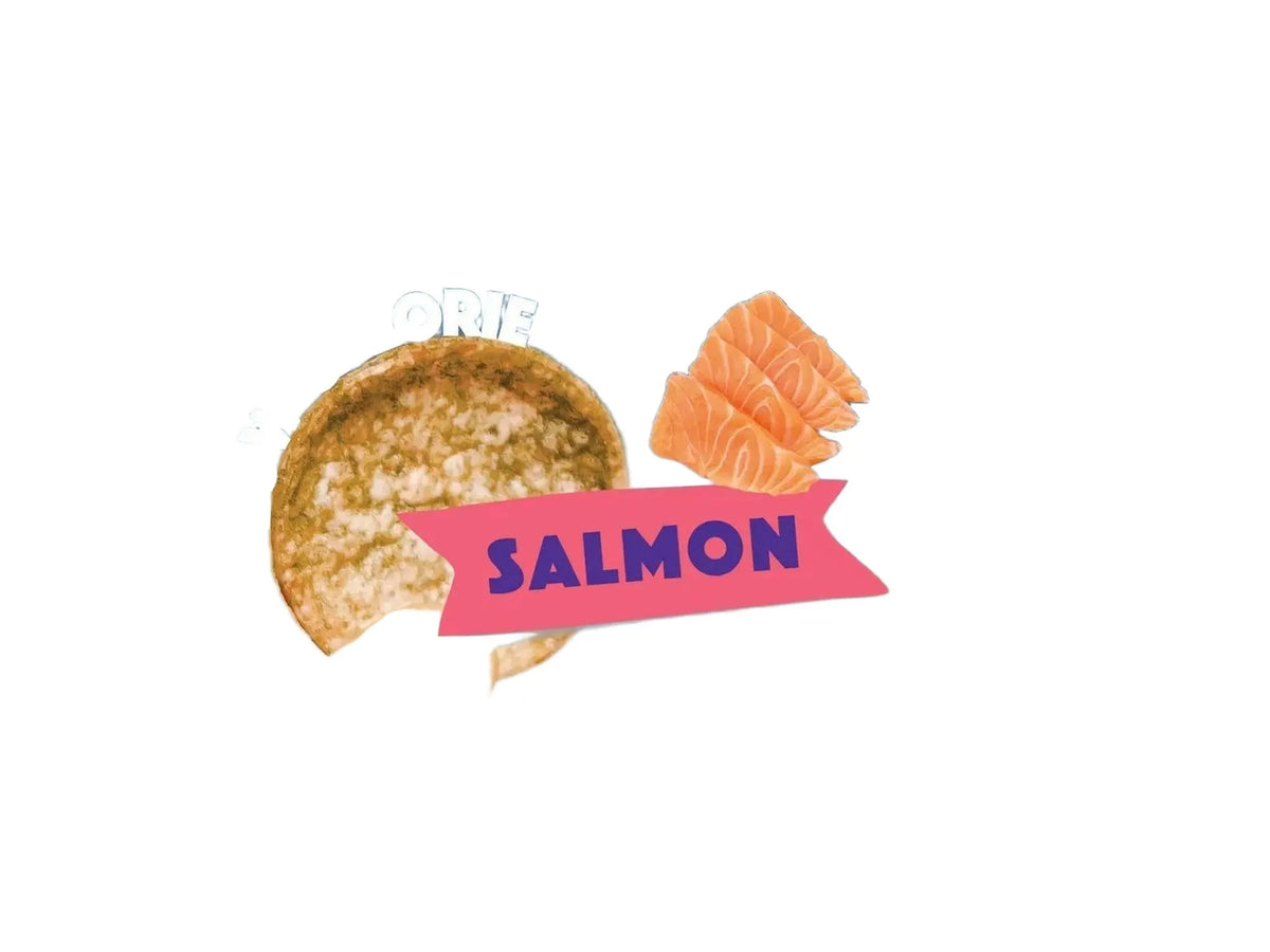 Smoofl Dog Chips Laks 50 g – Kaloriefattig hundesnacks