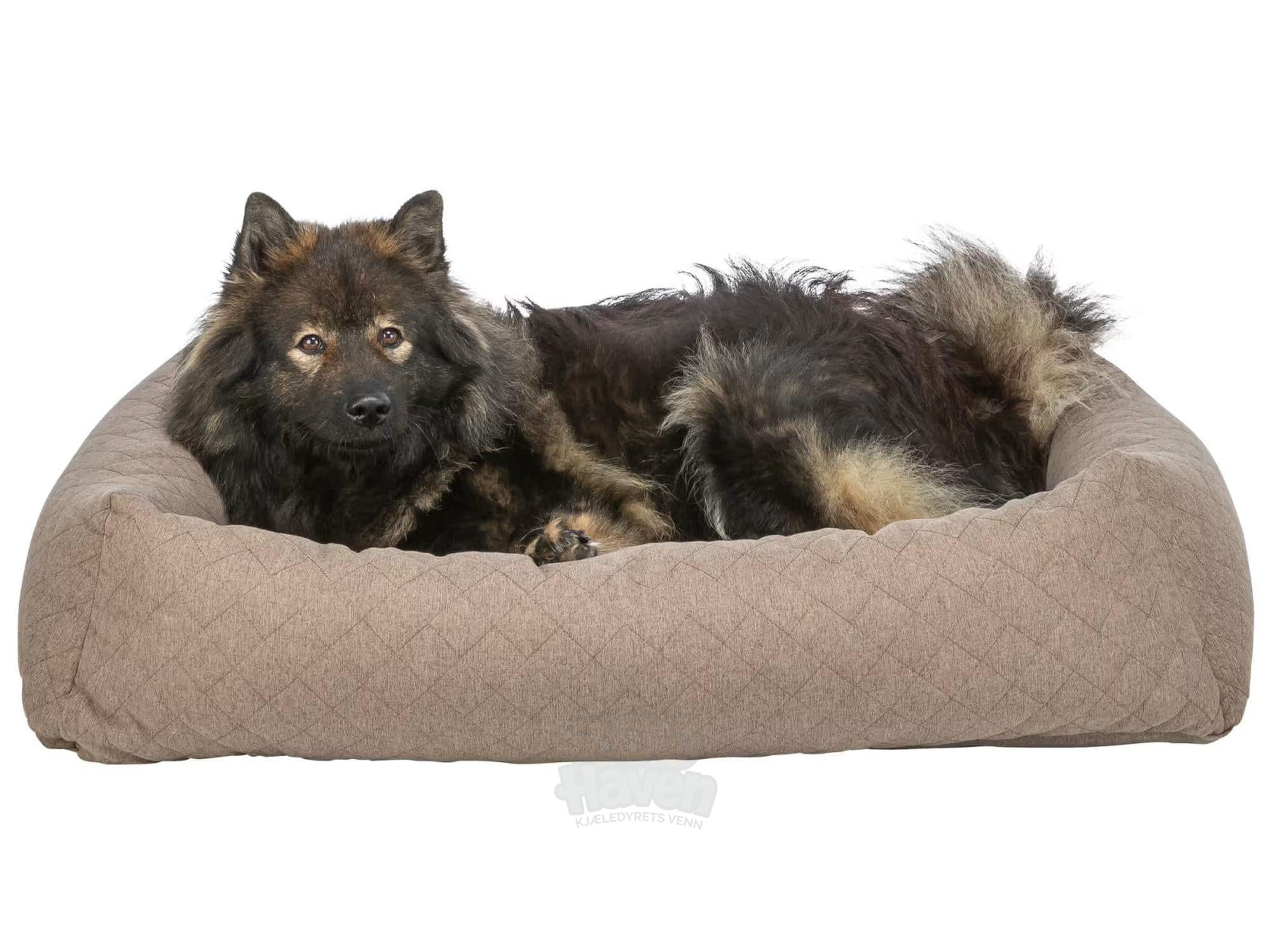 Soft Edition Caliente Hundeseng – Komfortabel Hundeseng i Brun