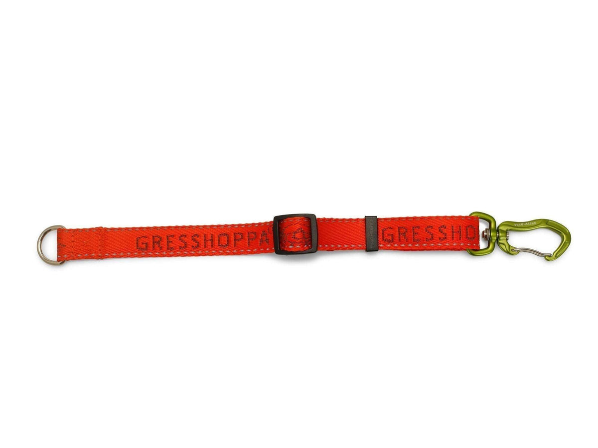 Sogna hanefot 20mm x 45cm i oransje for kobling av flere hunder