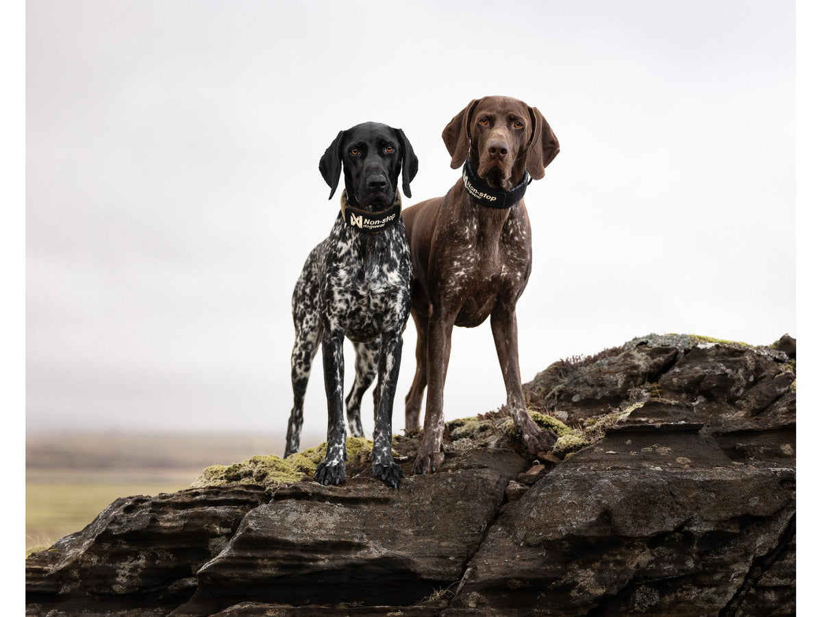Non-stop dogwear Solid collar WD halvstruphalsbånd – Svart