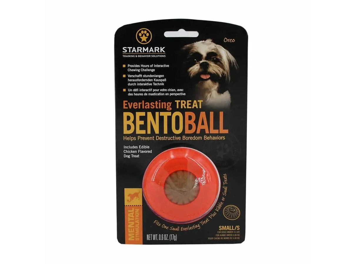 Starmark Everlasting Bento Ball, oransje interaktiv hundeleke med godbit, i emballasje.