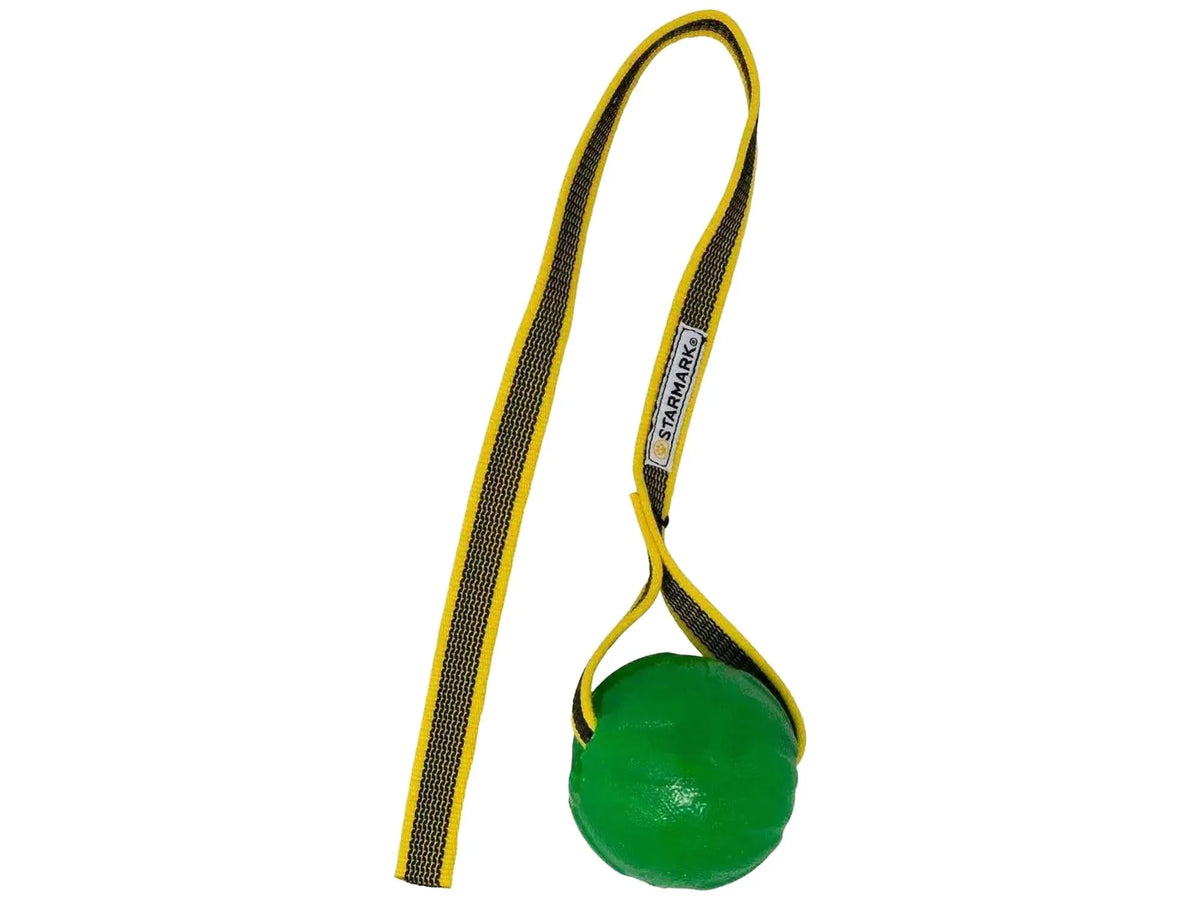 Grønn Starmark GripCord Chew Ball med slitesterkt gult og svart tauhåndtak.