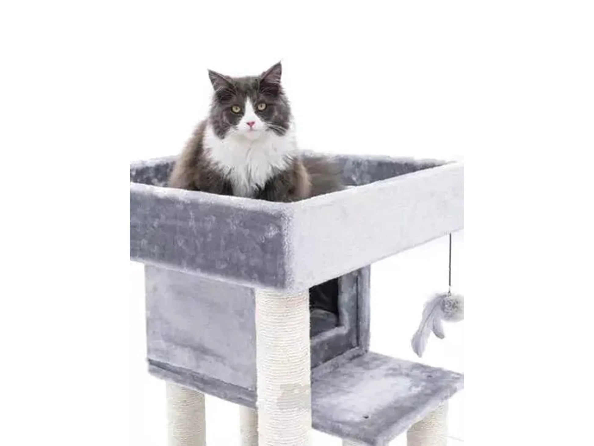 Grå og hvit katt i Petrebels Sweet Petit Lodge 107 kloretre med sisalstolper og leketøy.