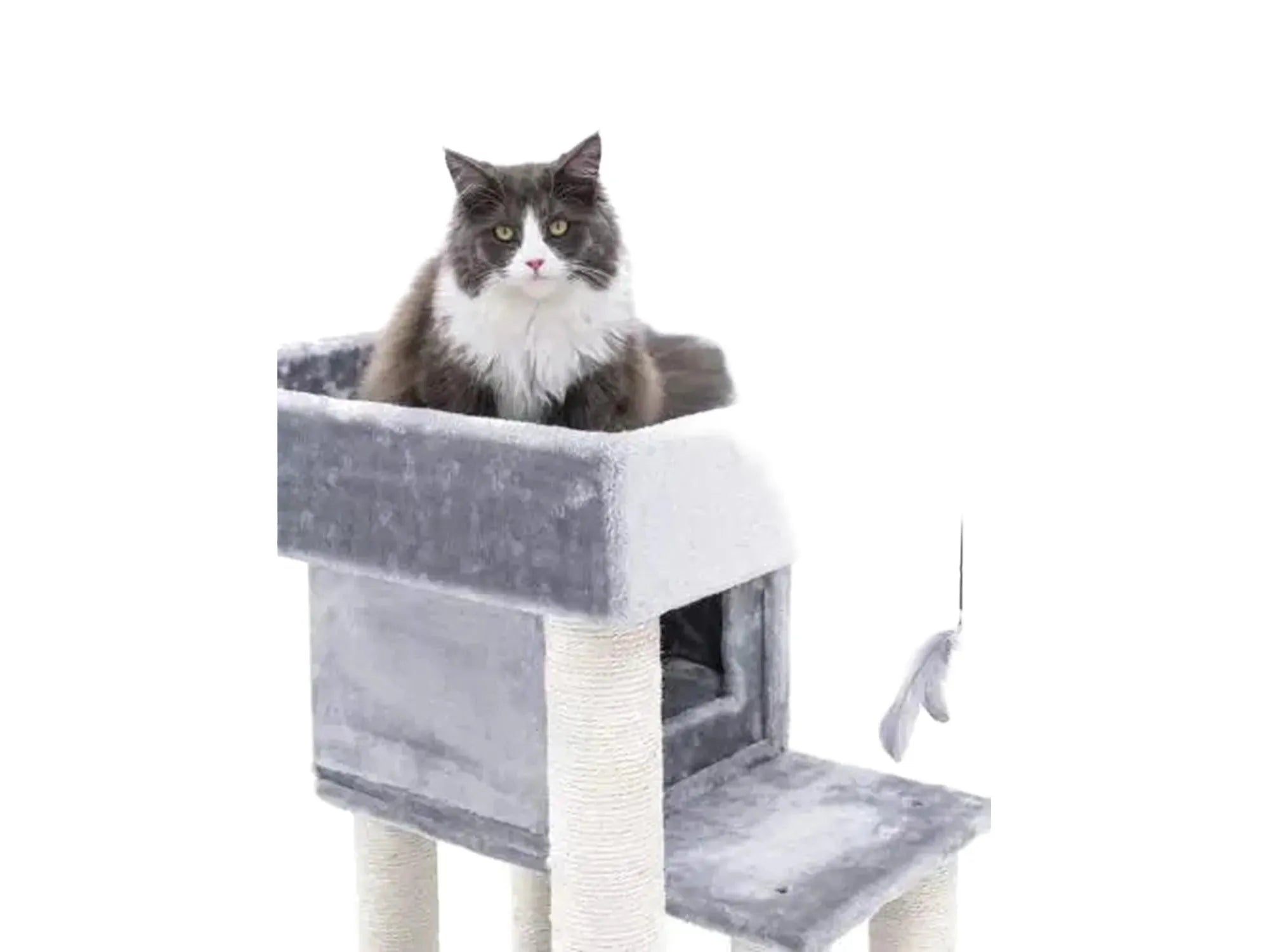 Grå og hvit katt i Petrebels Sweet Petit Lodge 107 kloretre med sisalstolper og leketøy.