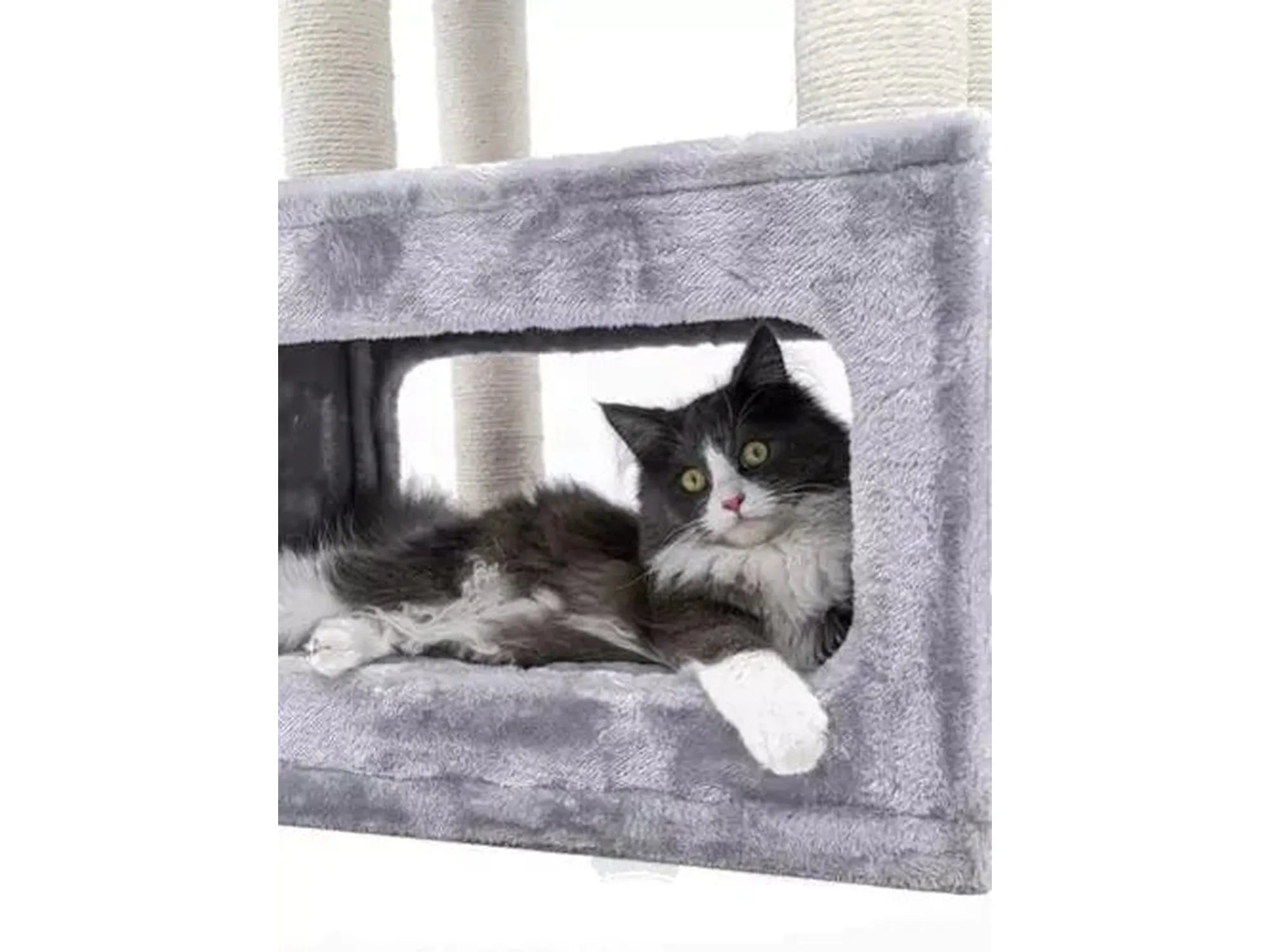 Svart og hvit katt hviler i et grått, mykt sovehus på et Petrebels Sweet Petit Lodge kloretre.