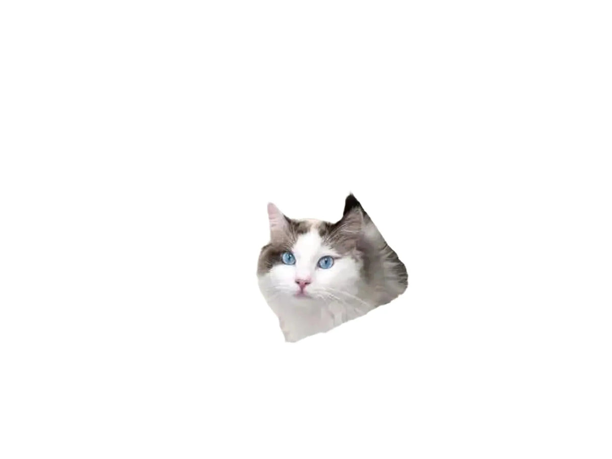 Søt ragdoll-katt med blå øyne titter ut fra et kremfarget, mykt Petrebels Sweet Petit Lodge 107 kloretre.