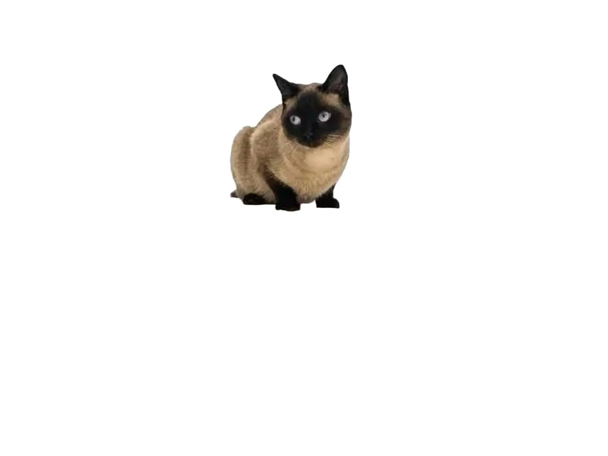 Kremfarget Petrebels Sweet Petit Lodge 150 kloretre med sisalstolper, sovehus og en siamesisk katt.