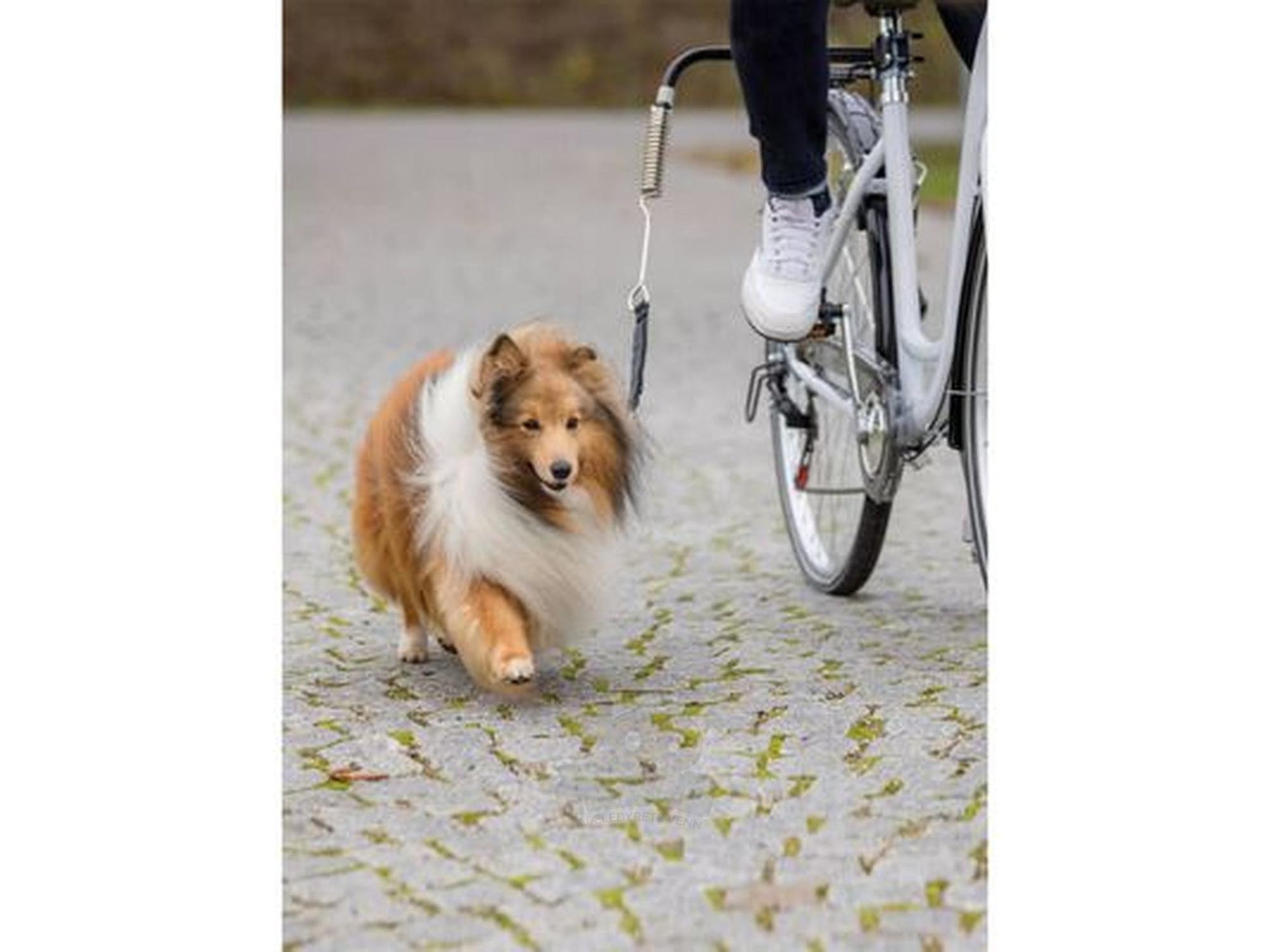 Trixie Sykkelsett DeLuxe Springer – bilde 2