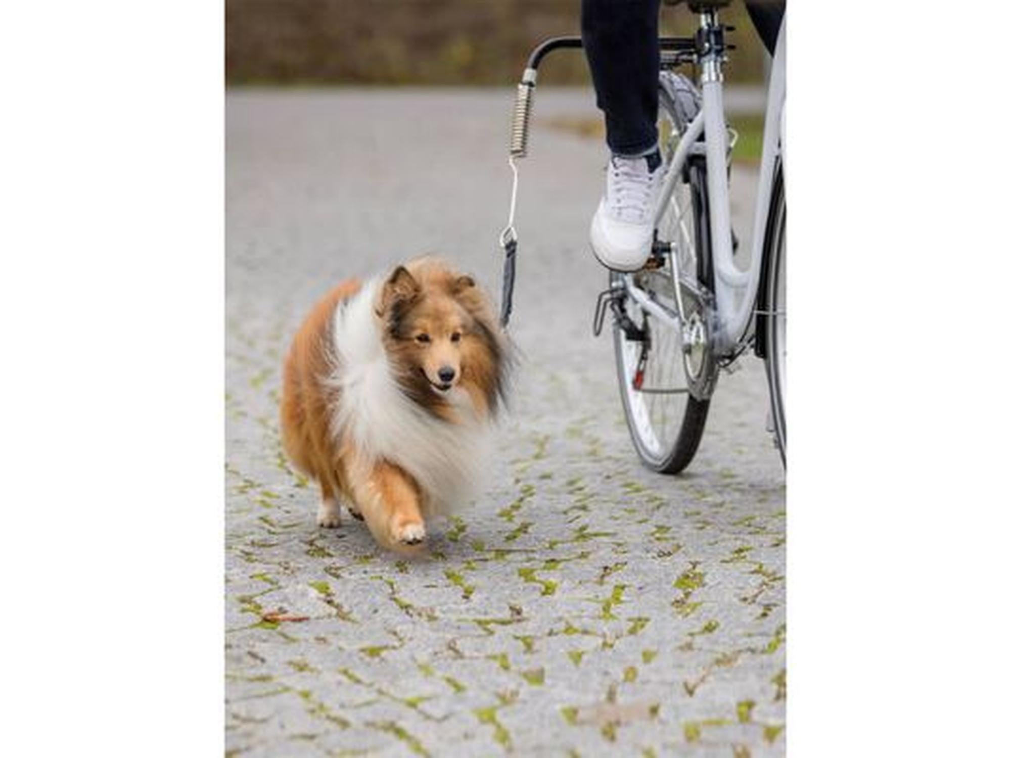 Trixie Sykkelsett DeLuxe Springer – bilde 2