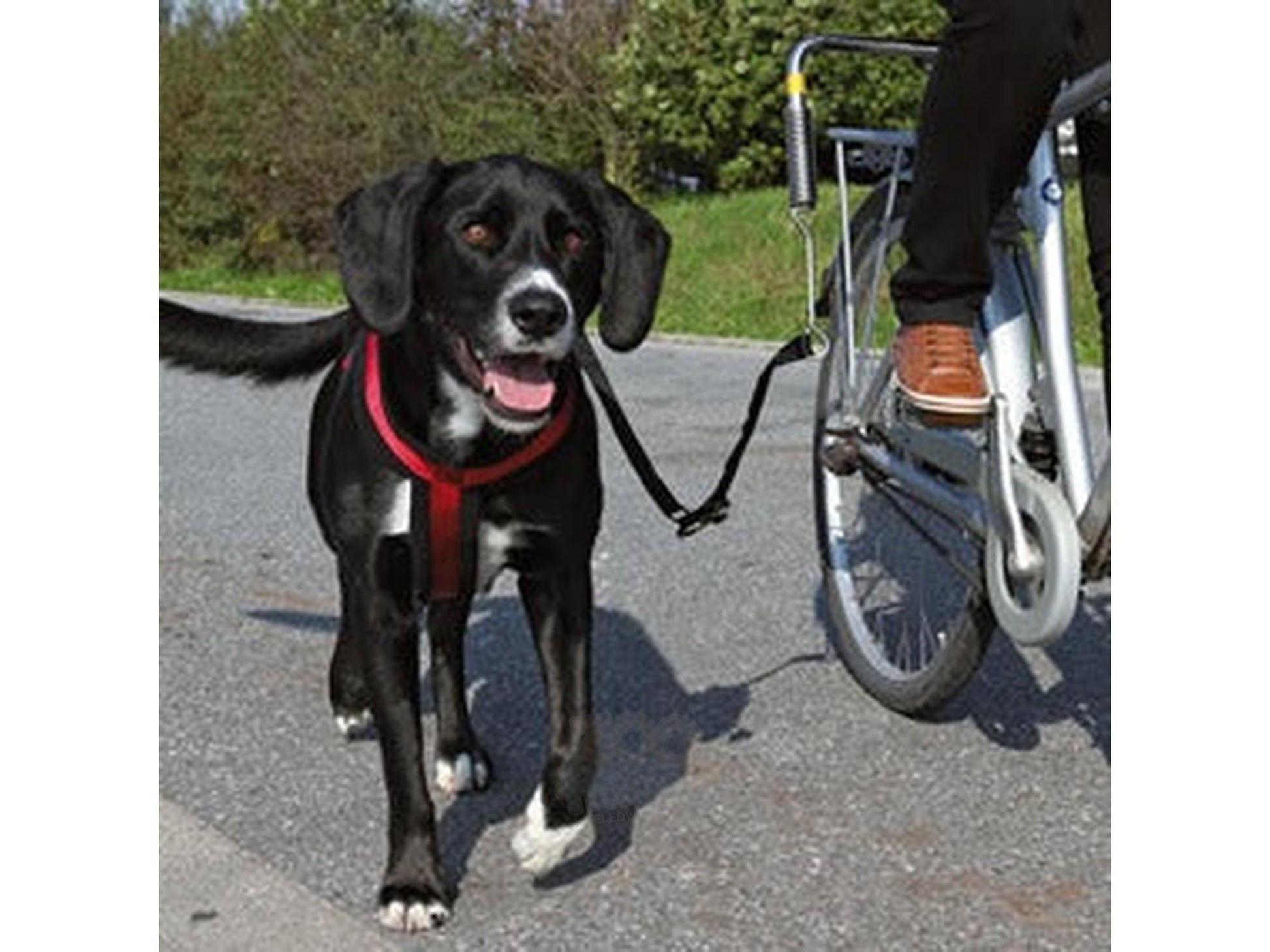 Trixie Sykkelsett DeLuxe Springer – bilde 3
