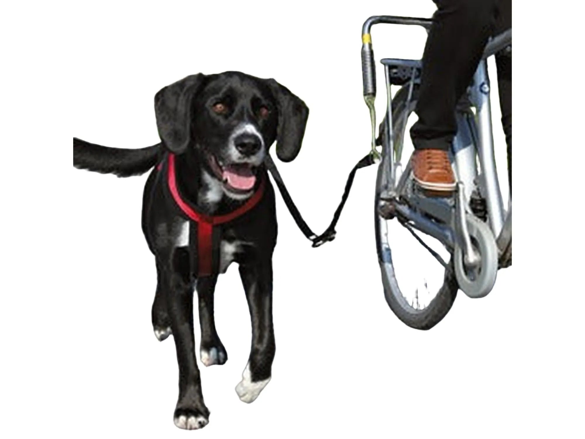 Trixie Sykkelsett DeLuxe Springer – bilde 3