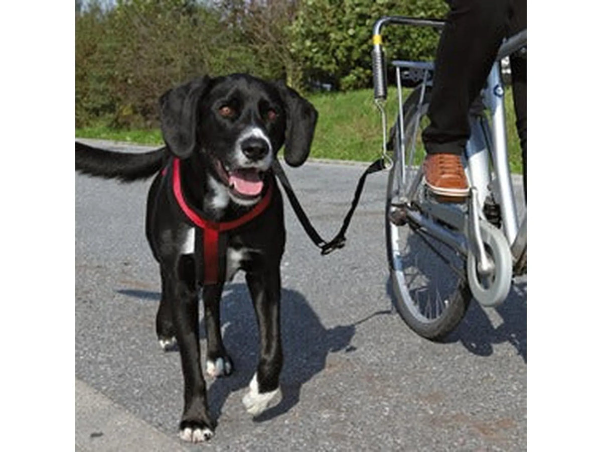 Trixie Sykkelsett DeLuxe Springer – bilde 3