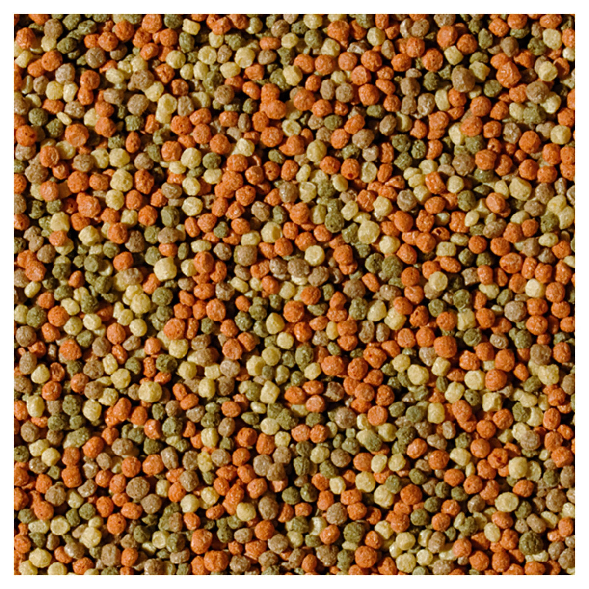 Tropical Koi fargepellets Adult M