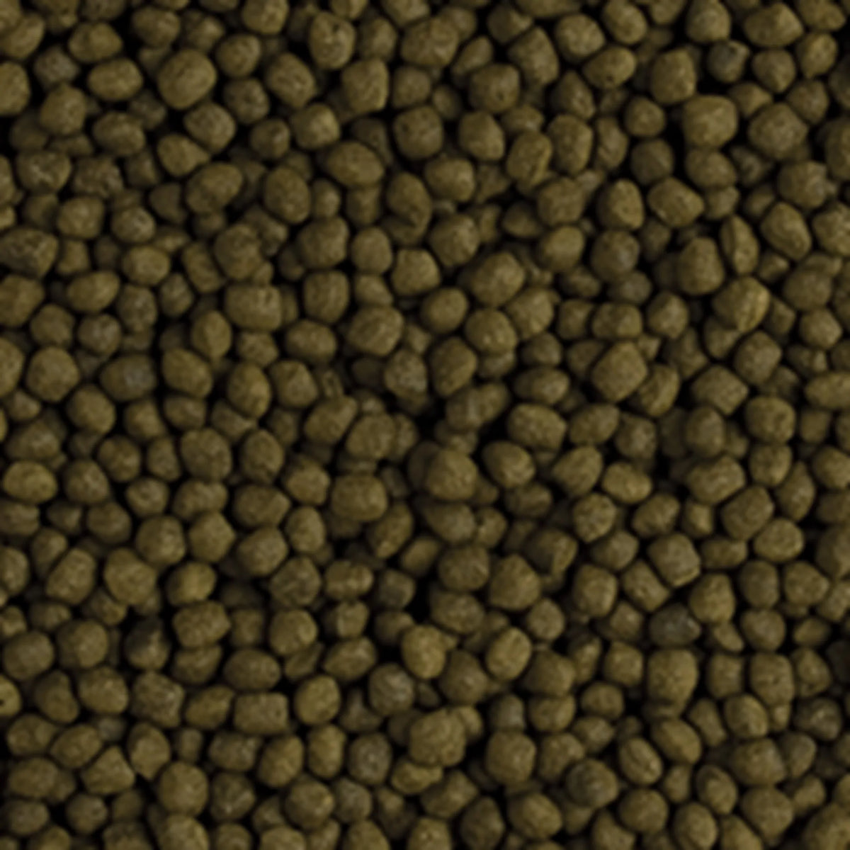 Tropical Flower Horn Adult pellets