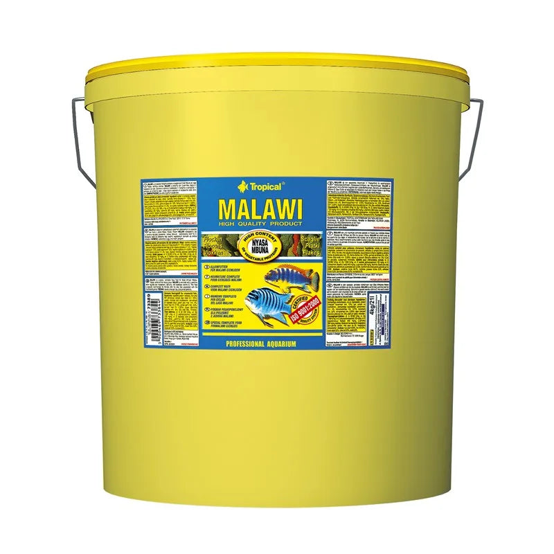 Tropical Malawi flak