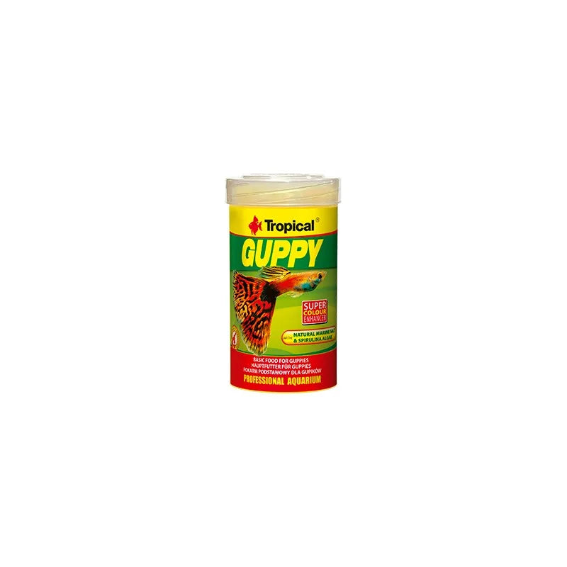 Tropical Guppy flak