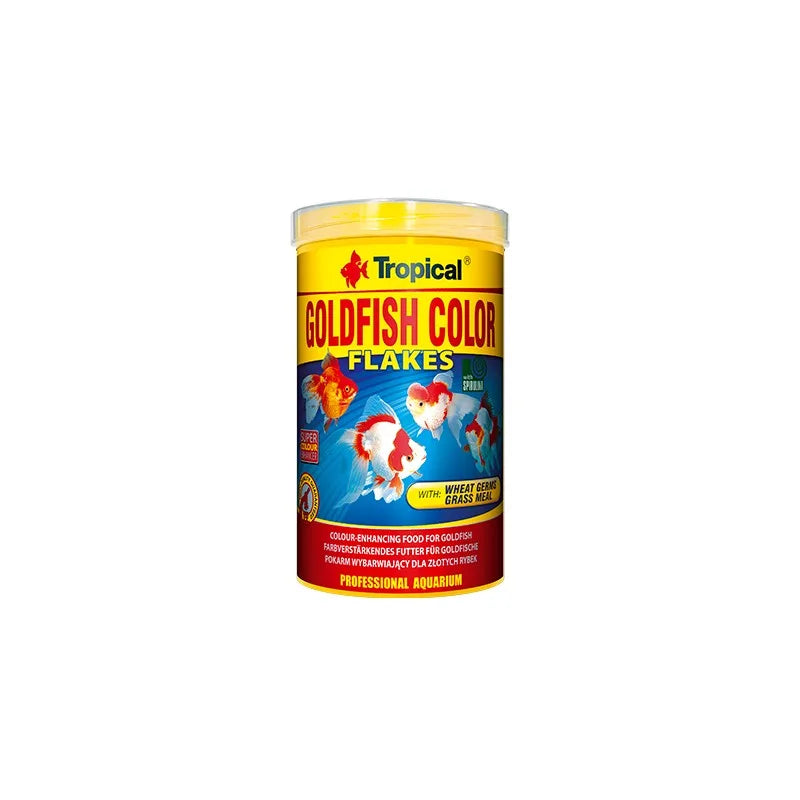 Tropical Goldfish Colour flak