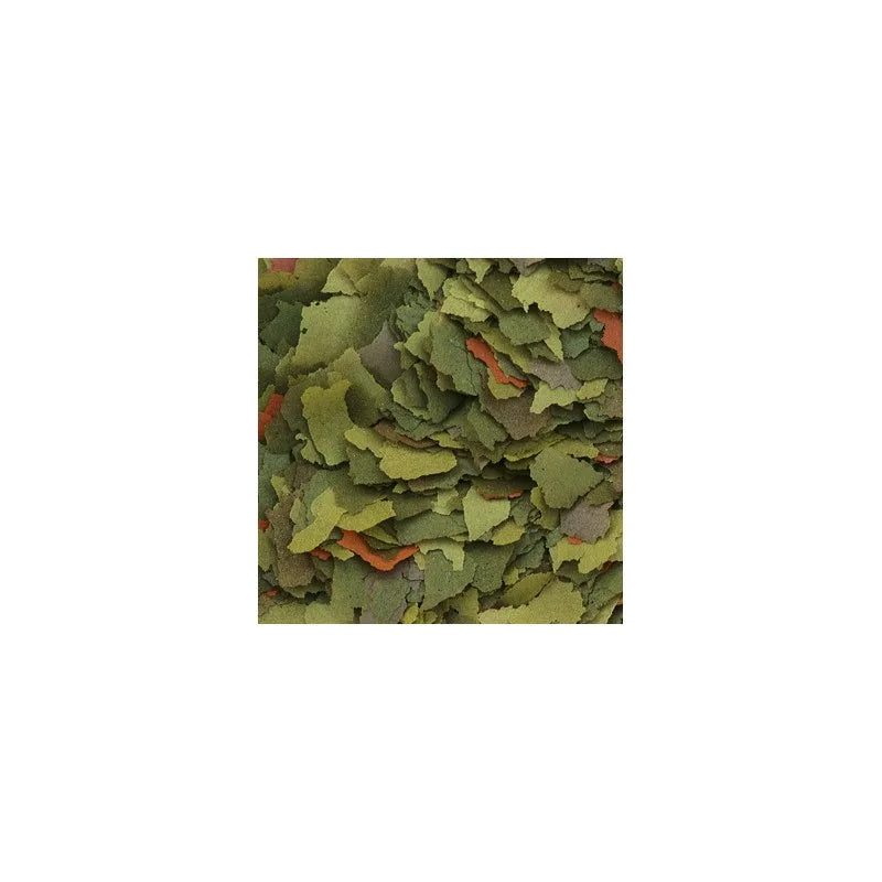 Tropical Malawi flak
