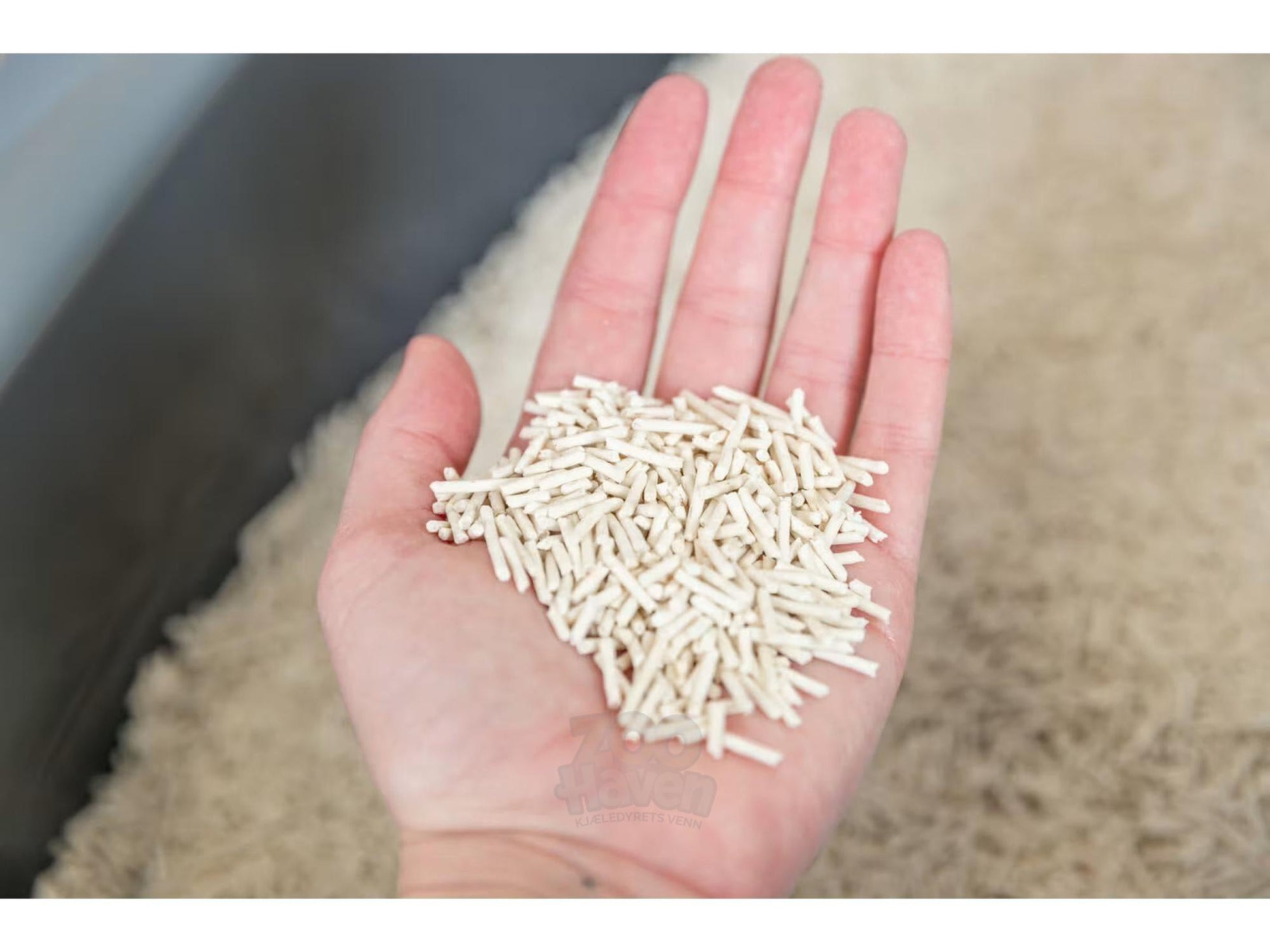 En hånd holder lysebrune, sylindriske tofu kattesandpellets over en seng av lignende sand.