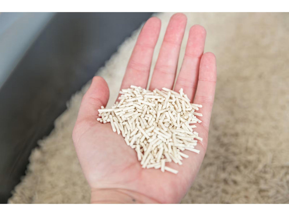 En hånd holder lysebrune, sylindriske tofu kattesandpellets over en seng av lignende sand.