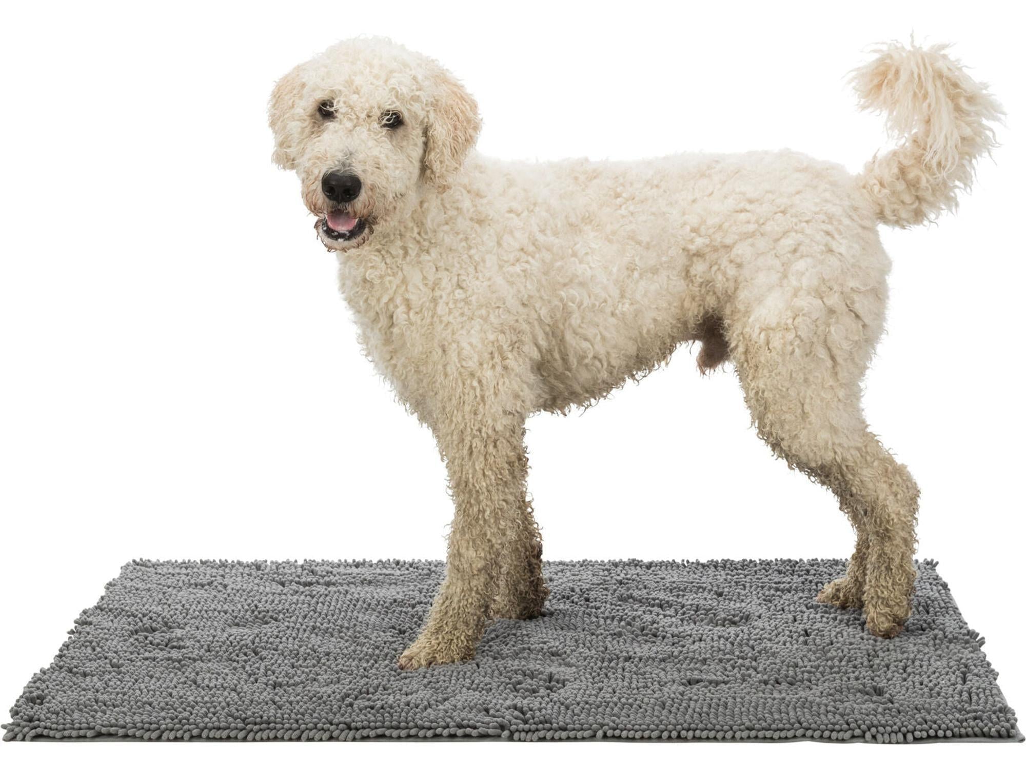 En fluffy, lys hund står på et grått, rektangulært smussabsorberende teppe med lange mikrofibre.